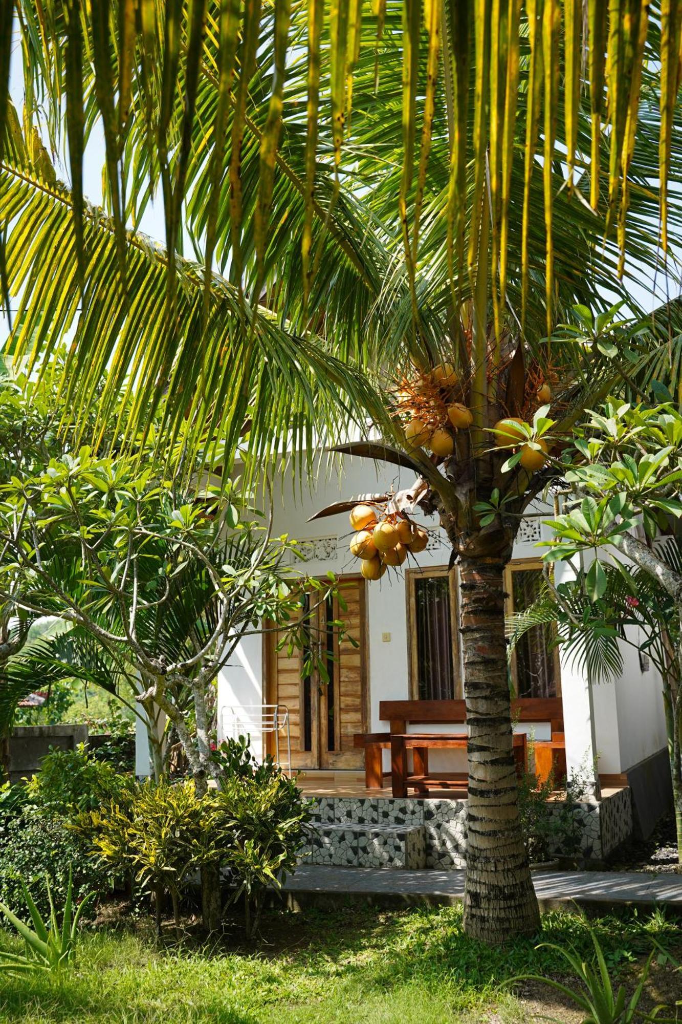 Wahyu Masari Homestay Sakti Екстер'єр фото